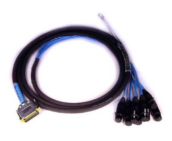 Кабель AVID DB25-XLRF DIGISNAKE 4' - 80503 за 0 грн. | 4Club