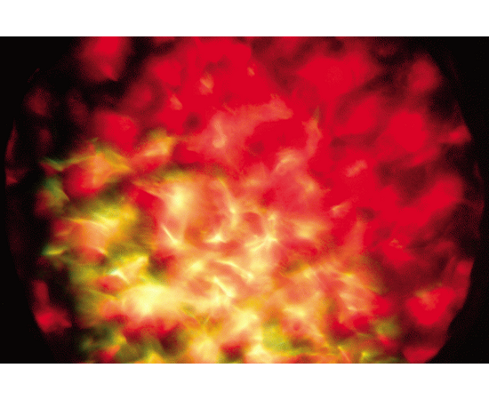 Дискотечний Світлоприлад AMERICAN DJ Hydro, image , зображення 2