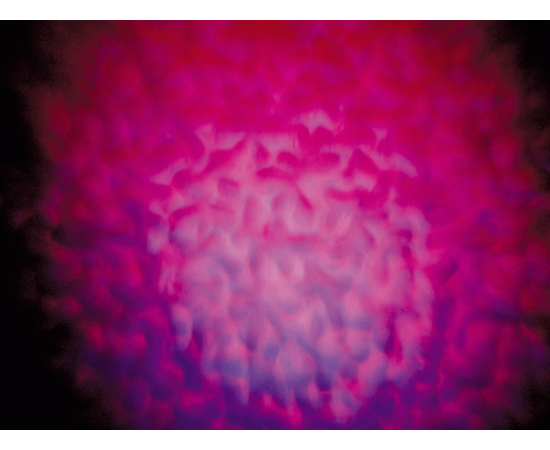 Дискотечний Світлоприлад AMERICAN DJ Hydro, image 