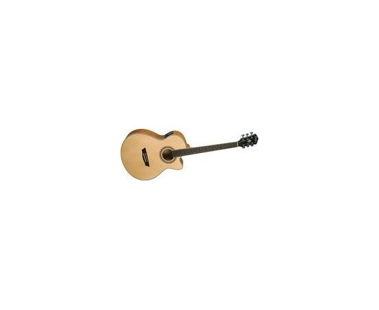 Электроакустическая гитара Washburn EA40 SCE - 80409 за 0 грн. | 4Club