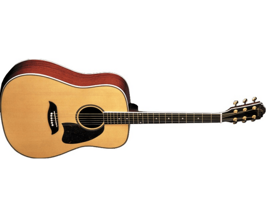 Акустическая гитара Washburn OG6S N - 80020 за 0 грн. | 4Club