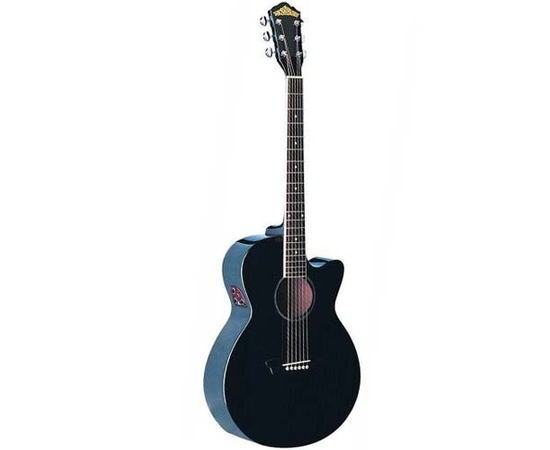 Электроакустическая гитара Washburn EA10 B - 80406 за 0 грн. | 4Club