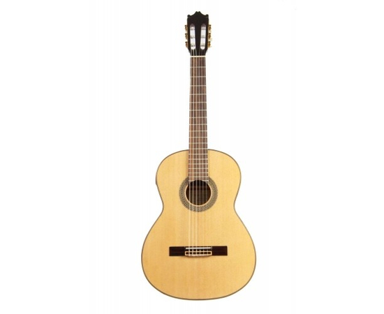 Классическая гитара IBANEZ G200E NT - 80874 за 0 грн. | 4Club