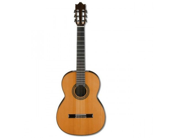 Классическая гитара IBANEZ G500 NT - 80873 за 0 грн. | 4Club