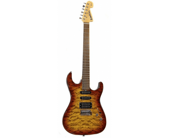 Электрогитара Washburn X10 QVS - 80989 за 0 грн. | 4Club