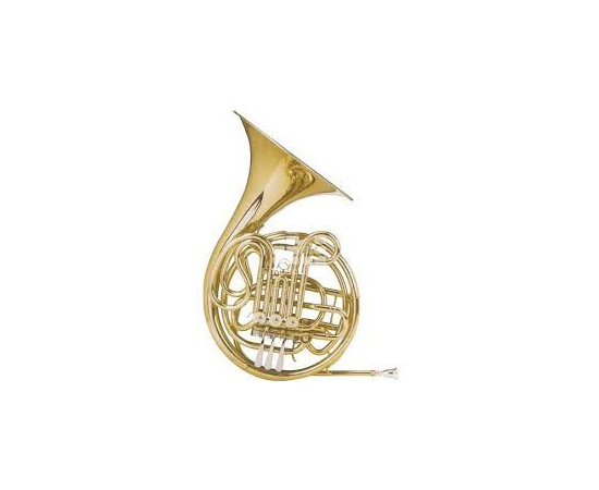 Валторна Maxtone THC53D 4LD (TMC704BD) - 82710 за 43688 грн. | 4Club