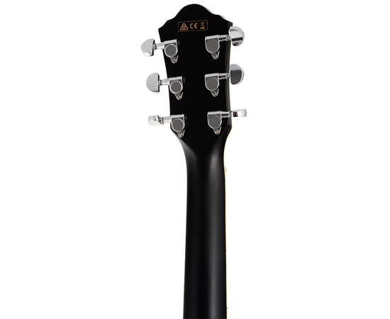 Электроакустическая гитара IBANEZ AEG10II BK