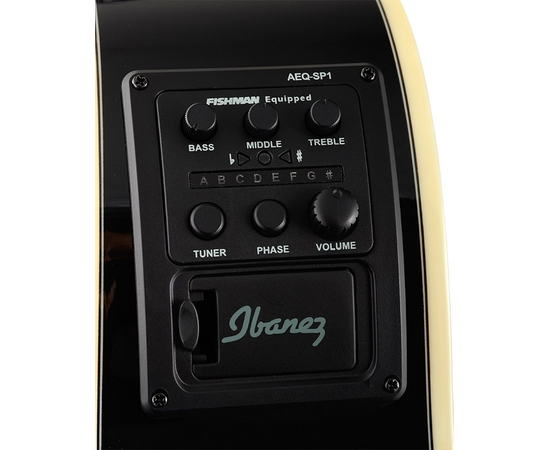 Электроакустическая гитара IBANEZ AEG10II BK