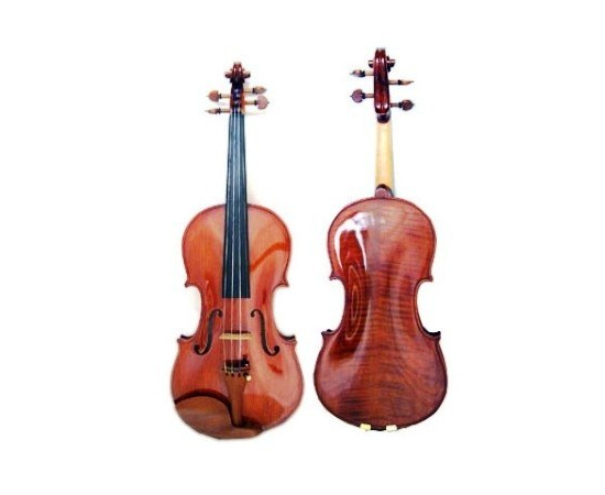 Скрипка CARLO GIORDANO VS2 4/4 - 85098 за 0 грн. | 4Club