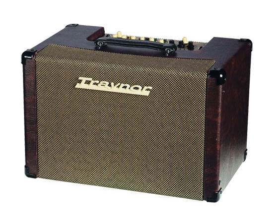 Комбоусилитель Traynor AM CUSTOM - 88061 за 0 грн. | 4Club