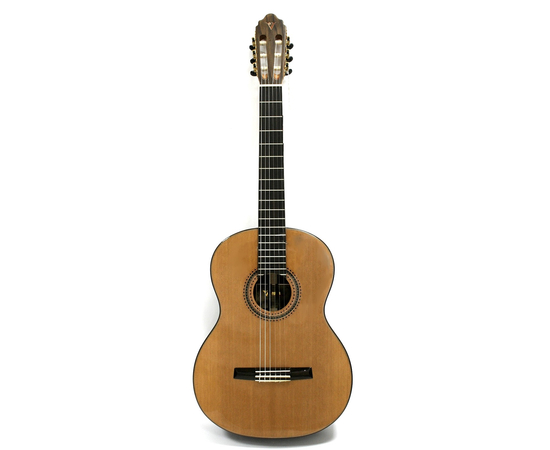 Классическая гитара Valencia CG/LTD5 - 87956 за 0 грн. | 4Club