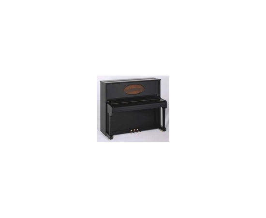 Пианино August Foerster 125 G SWMC mat with inlay - 88010 за 0 грн. | 4Club