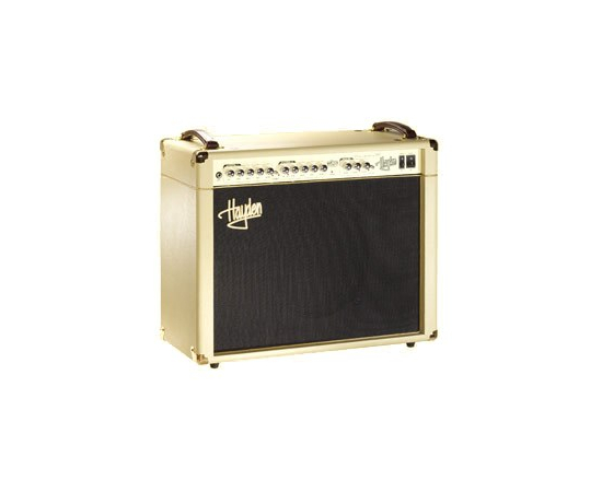 Гитарный комбо HAYDEN H-PM-40 190 - 89287 за 0 грн. | 4Club