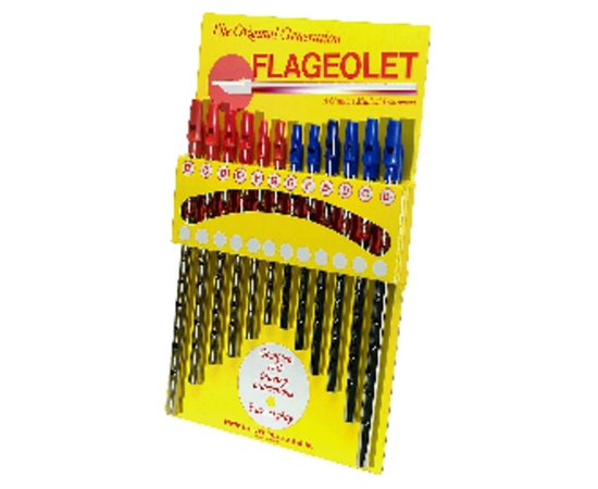 Флажолет Gewa 700510 - 89748 за 0 грн. | 4Club