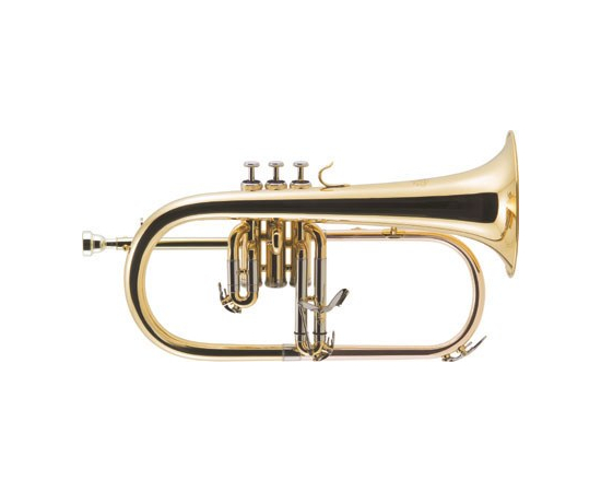 Флюгель горн J.Michael FG-500(S) 1333 - 92896 за 21351 грн. | 4Club