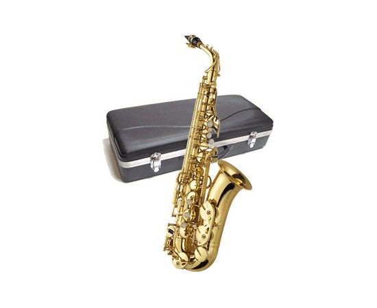 Саксофон-альт J.Michael AL-500N(P) 3176 - 92714 за 23188 грн. | 4Club