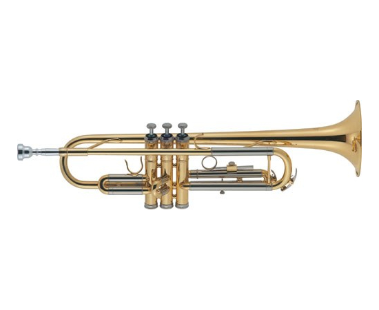 Труба J.Michael TR-200(P) 3574 - 92989 за 8921 грн. | 4Club