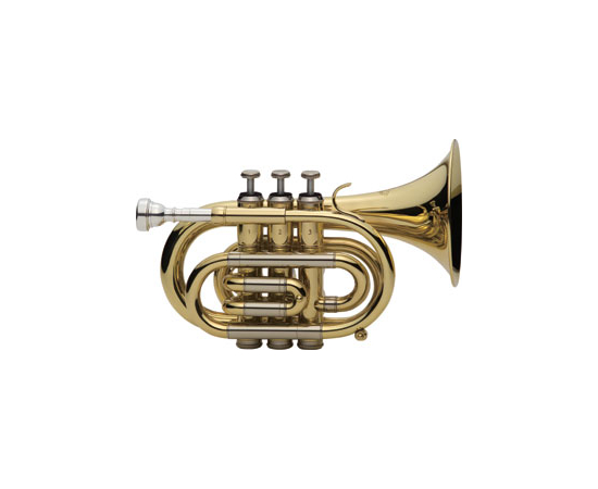 Труба J.Michael TR-350PL(S) 1316 - 92991 за 0 грн. | 4Club