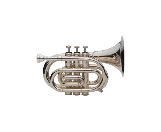 Труба J.Michael TR-430S(S) 1318 - 92994 за 15224 грн. | 4Club