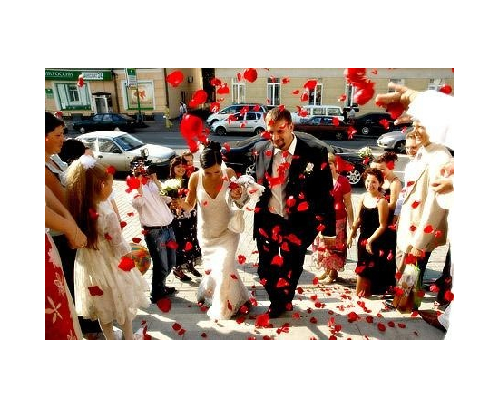 Конфетти лепестки роз Dj Lights Rose, фото 