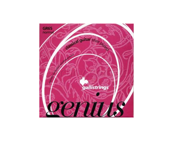 Струны GALLI Genius PROcoated GR65 С (29-44) Normal tension - 93799 за 0 грн. | 4Club