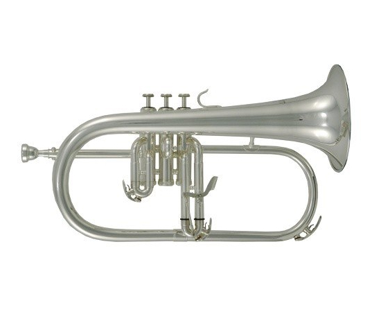 Флюгельгорн GEWA Bb Roy Benson FH-302S RB701097 - 95165 за 0 грн. | 4Club