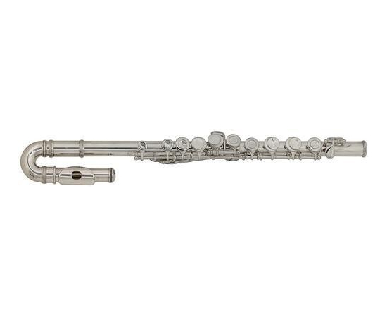 Детская флейта GEWA Roy Benson FL-102 RB700390 - 95083 за 16854 грн. | 4Club