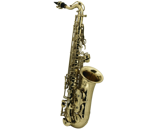 Саксофон альт GEWA Eb для детей Roy Benson AS-201 RB700590 - 95122 за 41548 грн. | 4Club