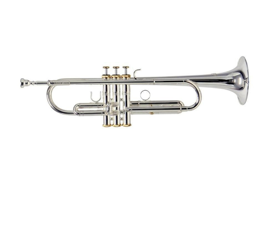 Труба GEWA Bb Roy Benson  Charli Green RB701087 - 95164 за 39000 грн. | 4Club