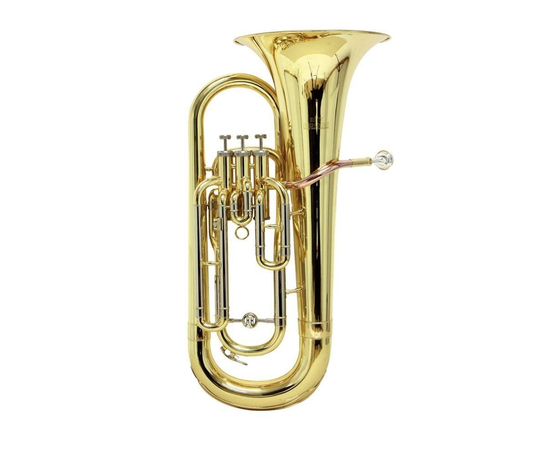 Эуфониум GEWA Bb Roy Benson EP-301 RB701469 - 95198 за 0 грн. | 4Club