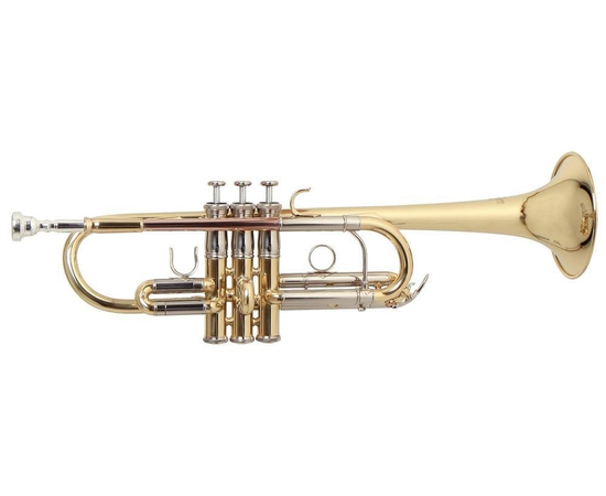 Труба GEWA Bb Roy Benson TR-402C RB701088 - 95162 за 27508 грн. | 4Club