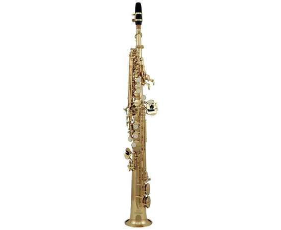 Саксофон сопрано GEWA Rb Roy Benson SS-302 RB700692 - 95139 за 39000 грн. | 4Club
