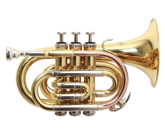 Карманная труба GEWA Bb Roy Benson PT-302 RB701020 - 95151 за 18720 грн. | 4Club