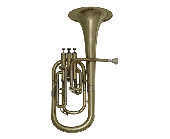 Альт GEWA Eb Roy Benson AH-101 RB701464 - 95201 за 32240 грн. | 4Club