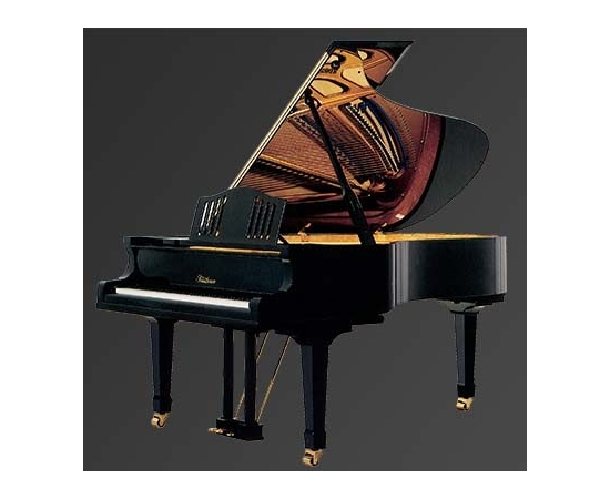 Рояль Julius Bluthner BLU S6 Black, polished - 96177 за 0 грн. | 4Club