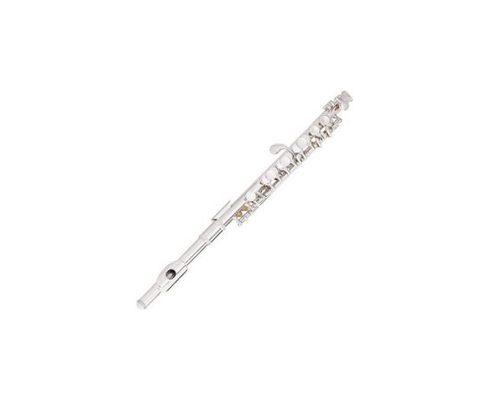 Флейта-пикколо CONN-SELMER 204 - 13705 за 0 грн. | 4Club