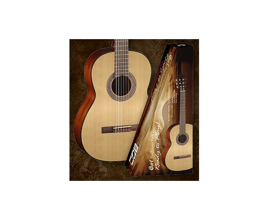 Гитарный набор CORT CCP10 (NS)