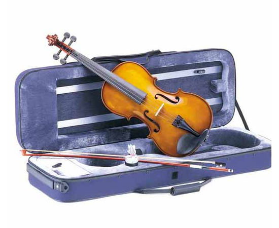 Альт CARLO GIORDANO VL-2 4/4 - 96933 за 0 грн. | 4Club