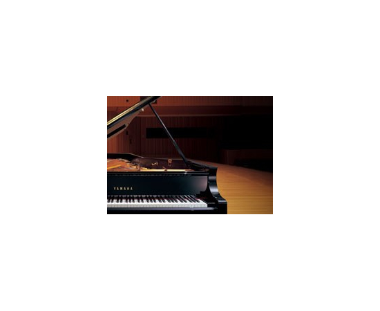 Піаніно YAMAHA P-105 (B), image , зображення 5
