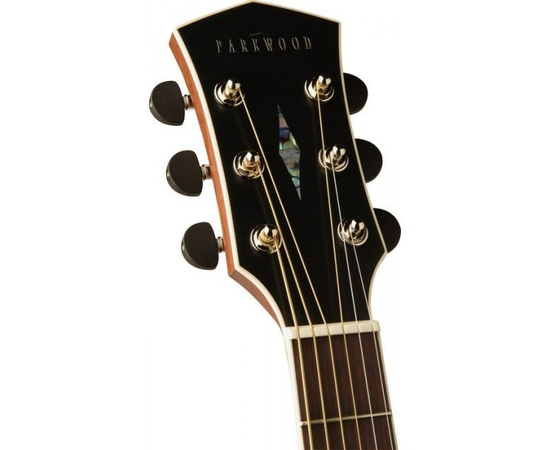 Акустическая гитара CORT PW310M NS w/bag, фото 