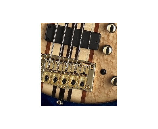 Бас-гитара Cort A5-Custom20TH Nat w/case