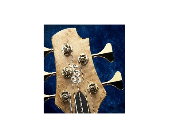 Бас-гитара Cort A5-Custom20TH Nat w/case