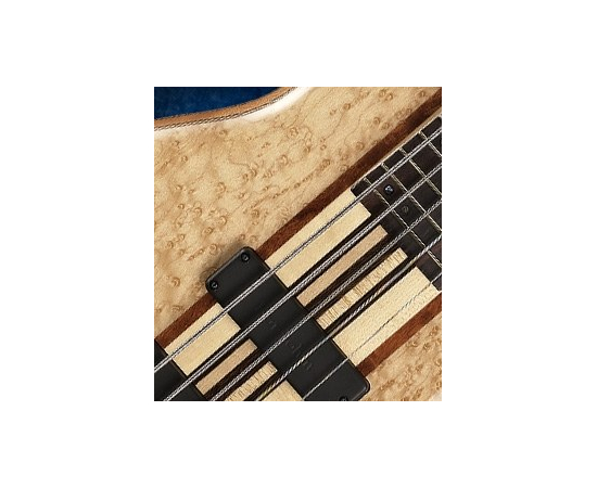 Бас-гитара Cort A5-Custom20TH Nat w/case