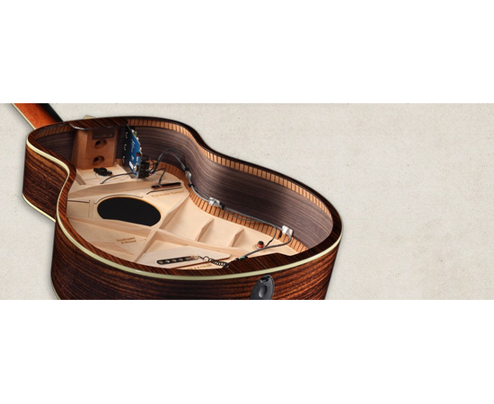 Электроакустическая гитара TAYLOR 310Ce