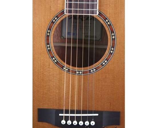 Акустическая гитара Aria AP-STD