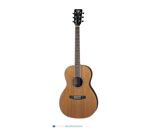 Акустическая гитара Aria AP-STD - 2930 за 0 грн. | 4Club