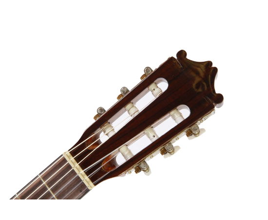 Классическая гитара IBANEZ G100 NT