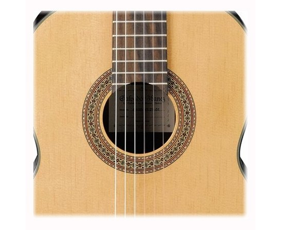 Классическая гитара IBANEZ G100 NT