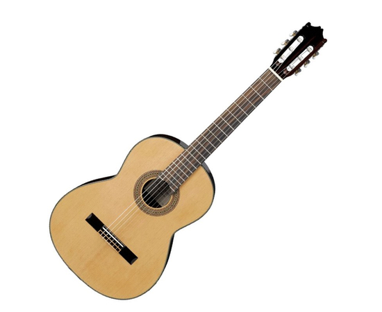 Классическая гитара IBANEZ G100 NT - 80875 за 0 грн. | 4Club