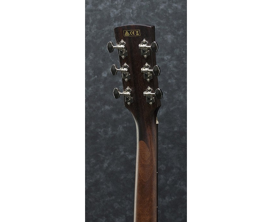 Акустическая гитара IBANEZ PC12MH OPN